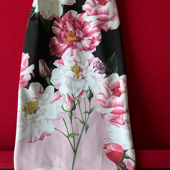 Brand new Ted baker dress - Picture 3 of 9